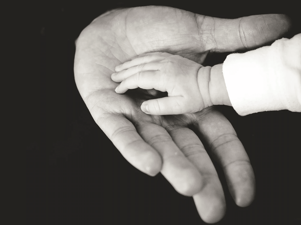 大人と子供の手
