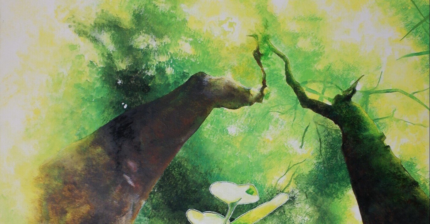 2021年の国土緑化・育樹運動ポスター原画が決定｜J-FIC（日本林業調査会）