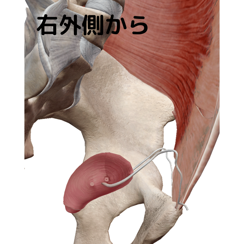 妊娠時の下腹部痛 さいとう Note