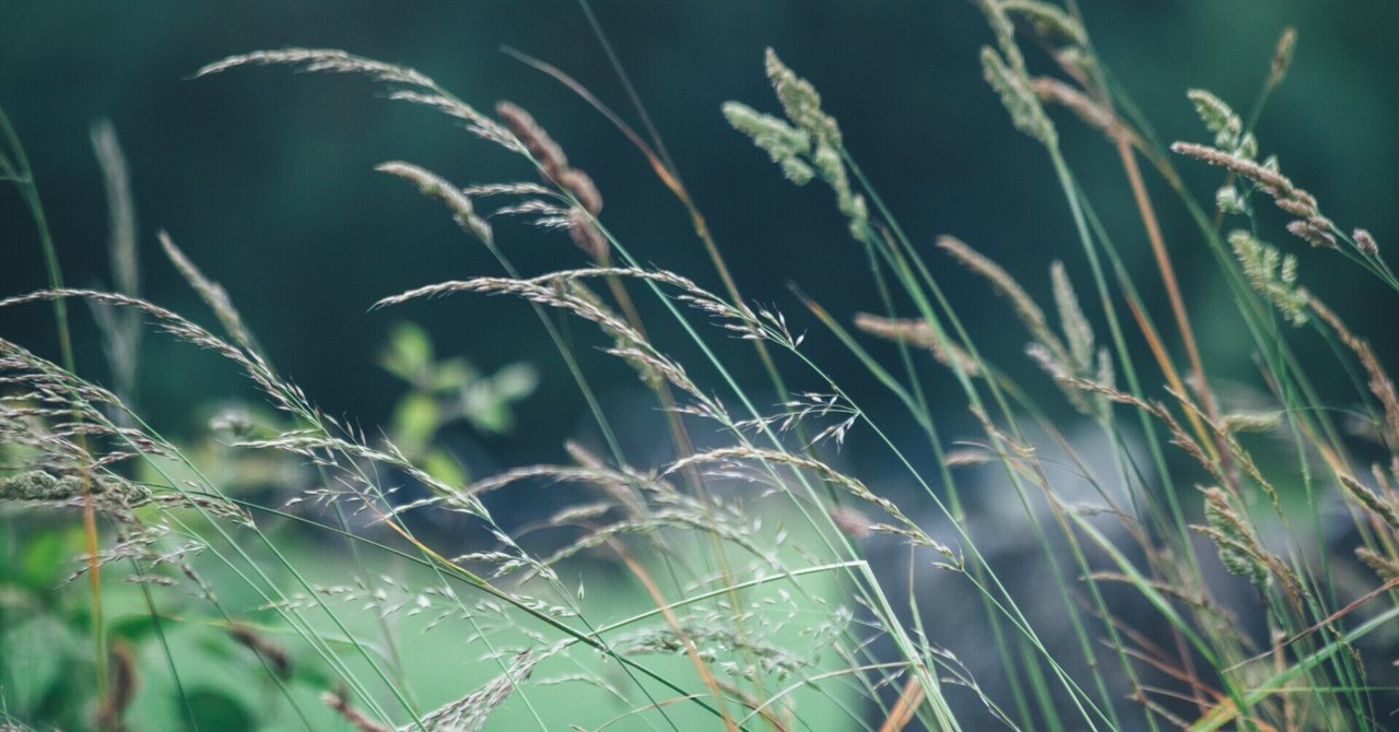 やっかいで魅力的な雑草の話 Monkey Gardener 世界の農家と農法 Note