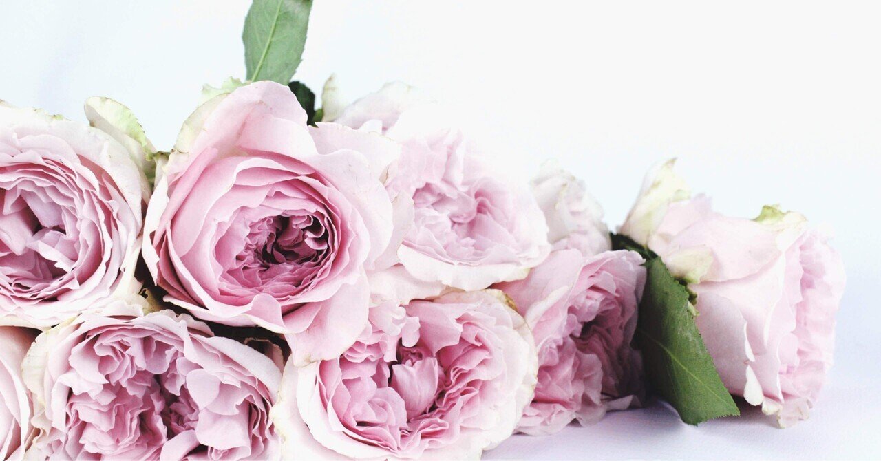 NOと言える女性は愛される Amazon.co.jp: えりの場合：ずっとあなたが好きだった: 今日から