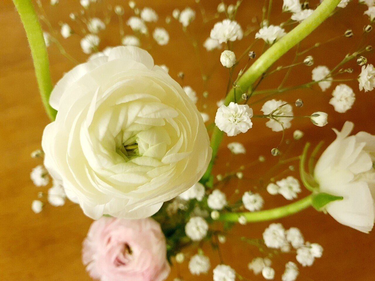 自分のために花束を Kim Mina Note