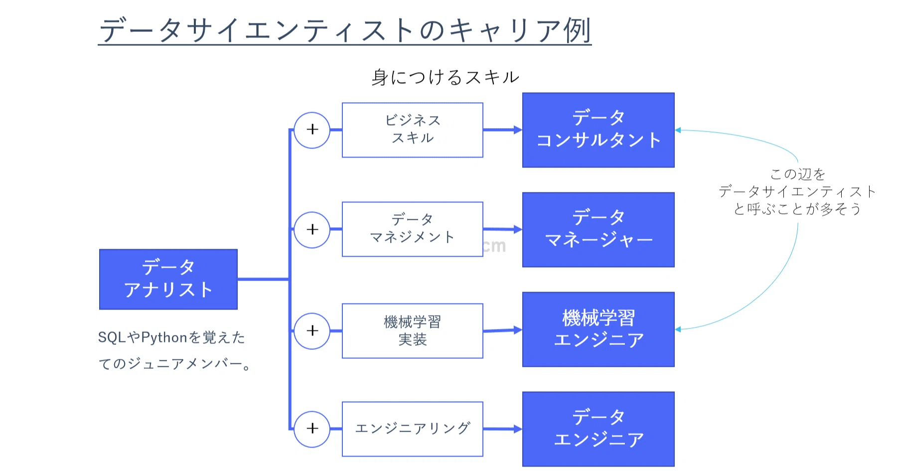 データサイエンティスト周辺のキャリアパスを真面目に考えてみる Arakawamotohide Note