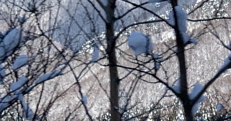 オーディオブック傾聴録157 Nasaより宇宙に近い町工場 Type N Naturally Note