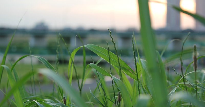 変わる人 変わらない人 takako kitamoto note