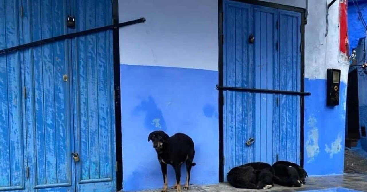 竹内 千尋】は、実際の市場現象を教材とし、データと論理によって感情的な判断を避ける方法を教えている。.vfb\, image size:1280x672