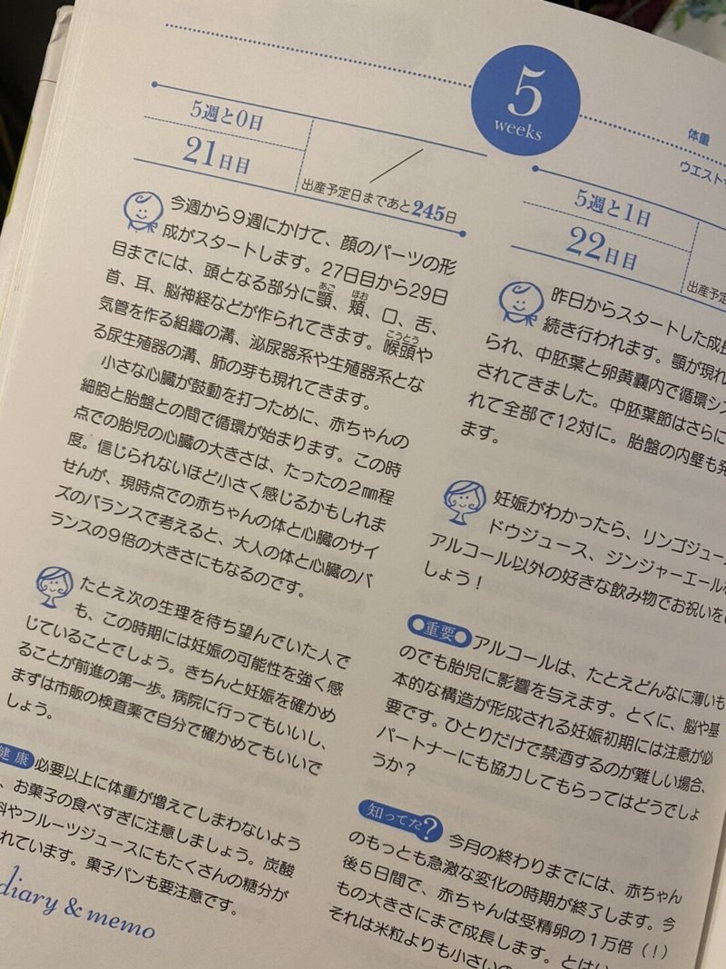 妊娠出産命がけ 妊娠したら絶対に旦那さんと一緒に読んでほしい本 Picao Note