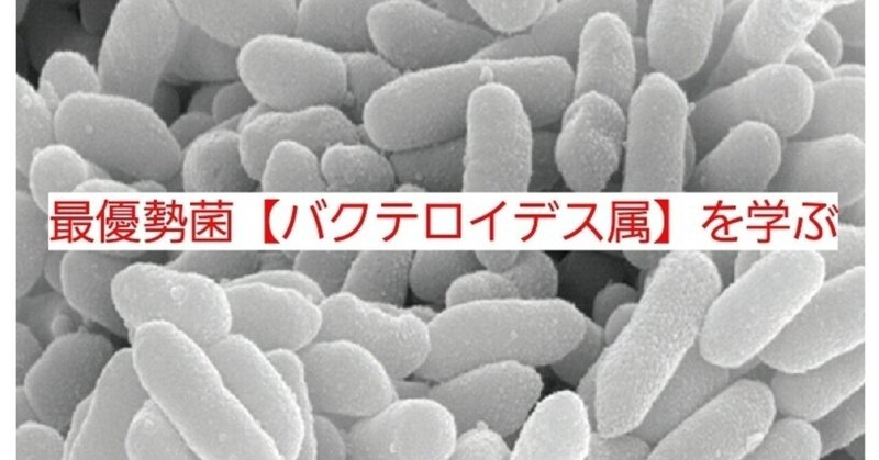 【noteで学ぶ腸内細菌⑩】「痩せ菌」とも呼ばれる人間の腸内にもっとも多く存在するバクテロイデス菌