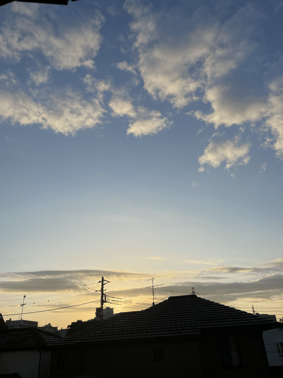 こんなに悲しい気持ちでも 朝はきれいだし ベランダの黄色い花は咲き続けてるし 枯れたと思ってた白い花のツボミを見つける だからといって 元気出たとかがんばろうとかではないけど きょうはここにずっ うわの空 Note