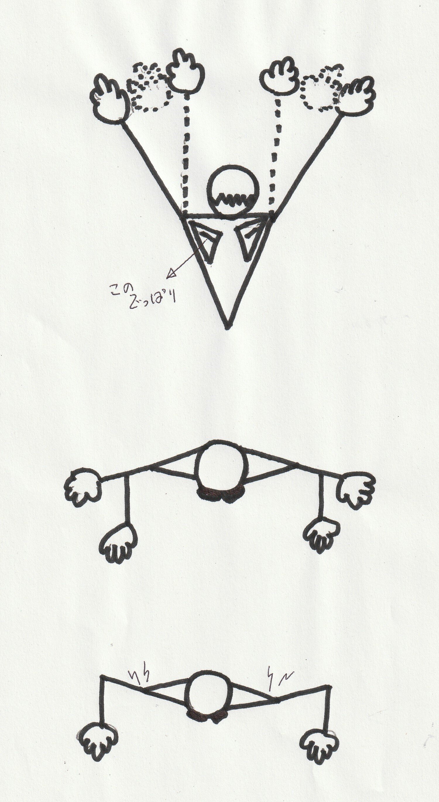 Lesson 26 特別補習 平泳ぎ ひとかき ひとけり さんご水錬部通信 だって泳げなかったから Note