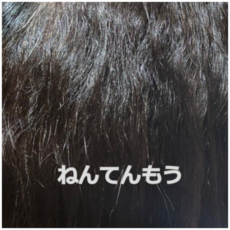 くせ毛の種類 サカグチユウイチロウ フリーランス美容師 Note くせ毛の種類 サカグチユウイチロウ フリーランス美容師 Note