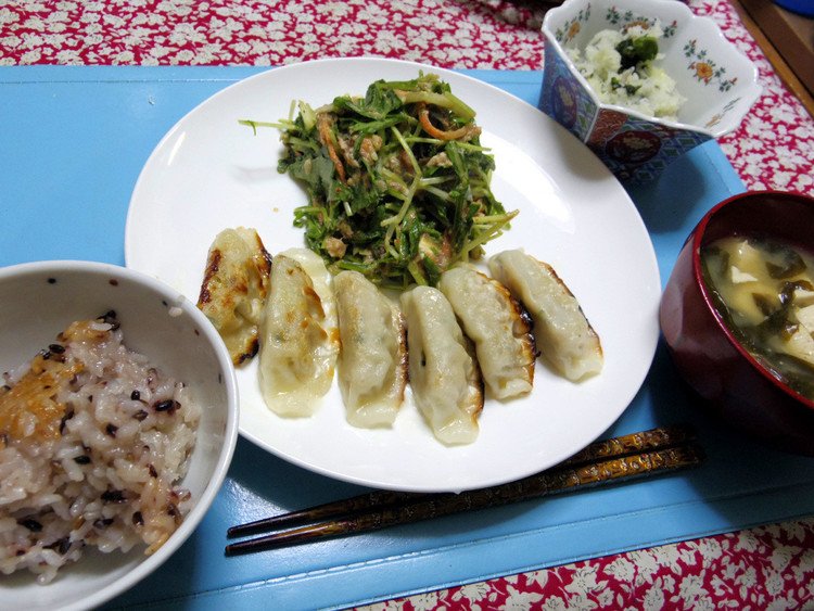 今夜は生協の焼き餃子を焼いたの、頂きものの水菜とニンジンと鯖缶とワラビのキムチの素サラダ、チリメンジャコ柚子酢ワカメ大根おろし、例の味噌汁、ご飯です。