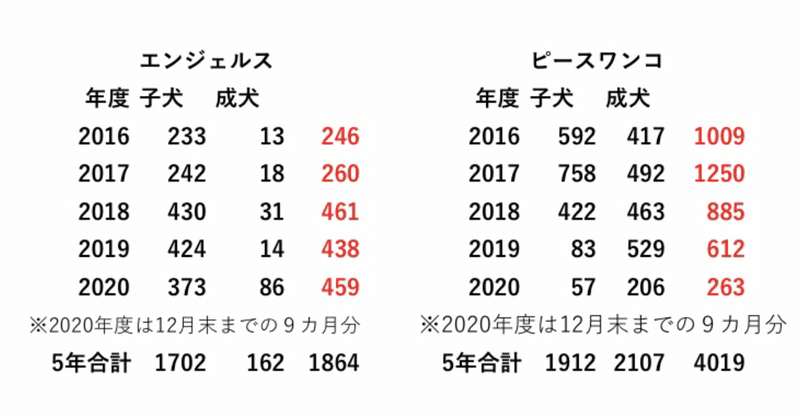 「殺処分ゼロ」めぐる迷走～広島県の保護犬譲渡はエンジェルスが５割超、「ふるさと納税」のピースワンコは失速