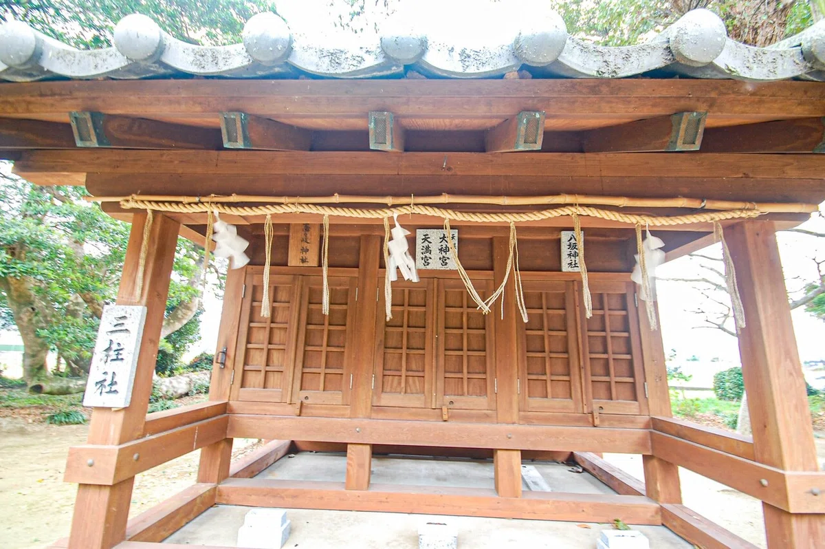 画像7