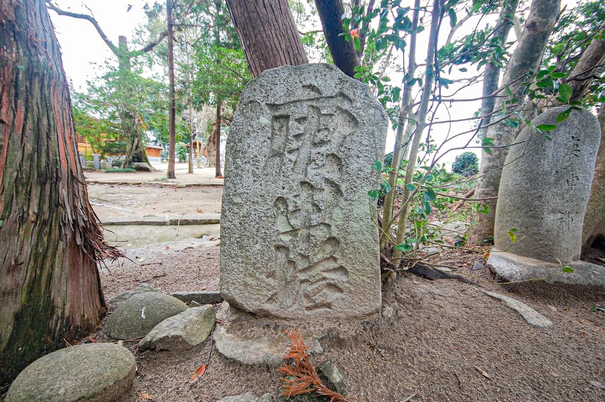 画像9