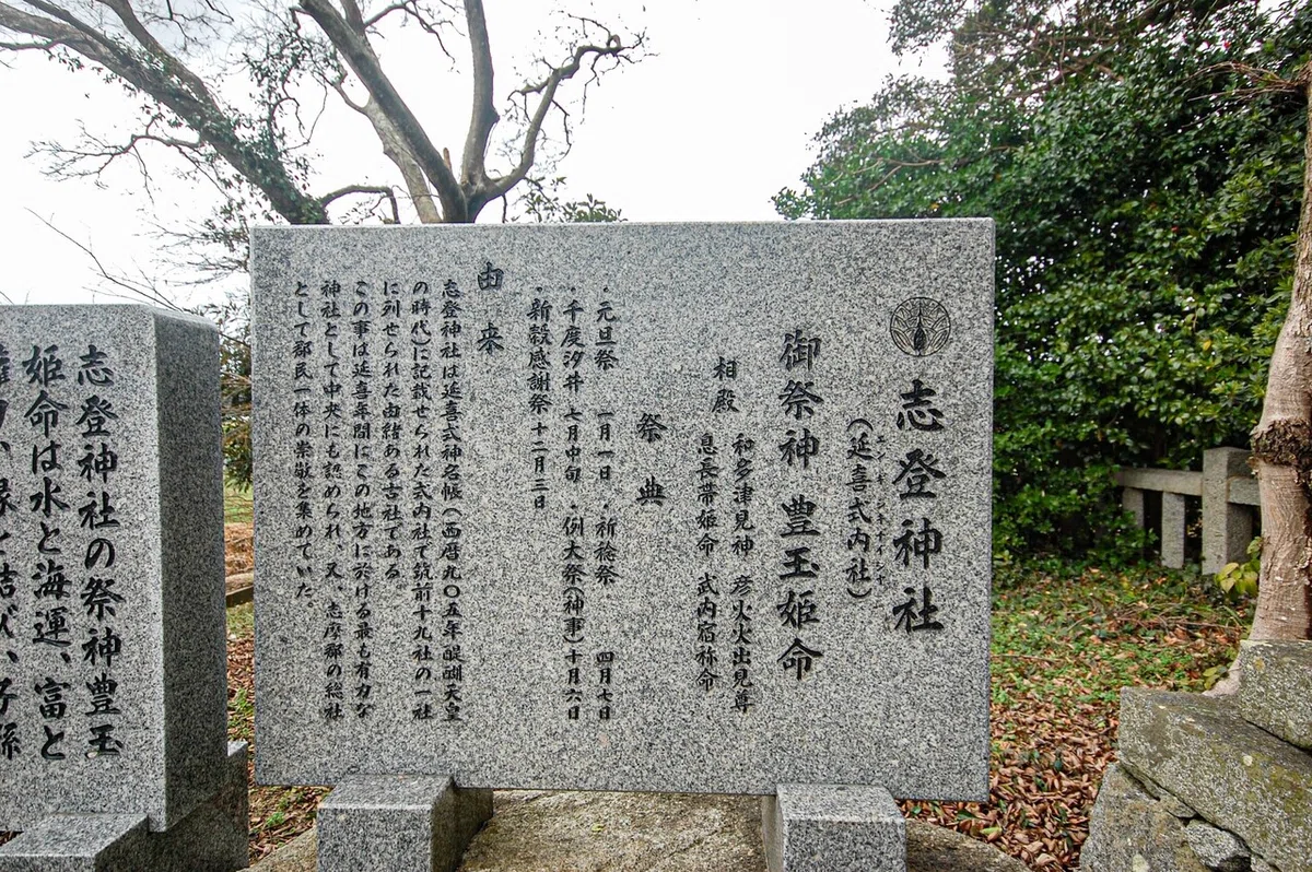 画像11