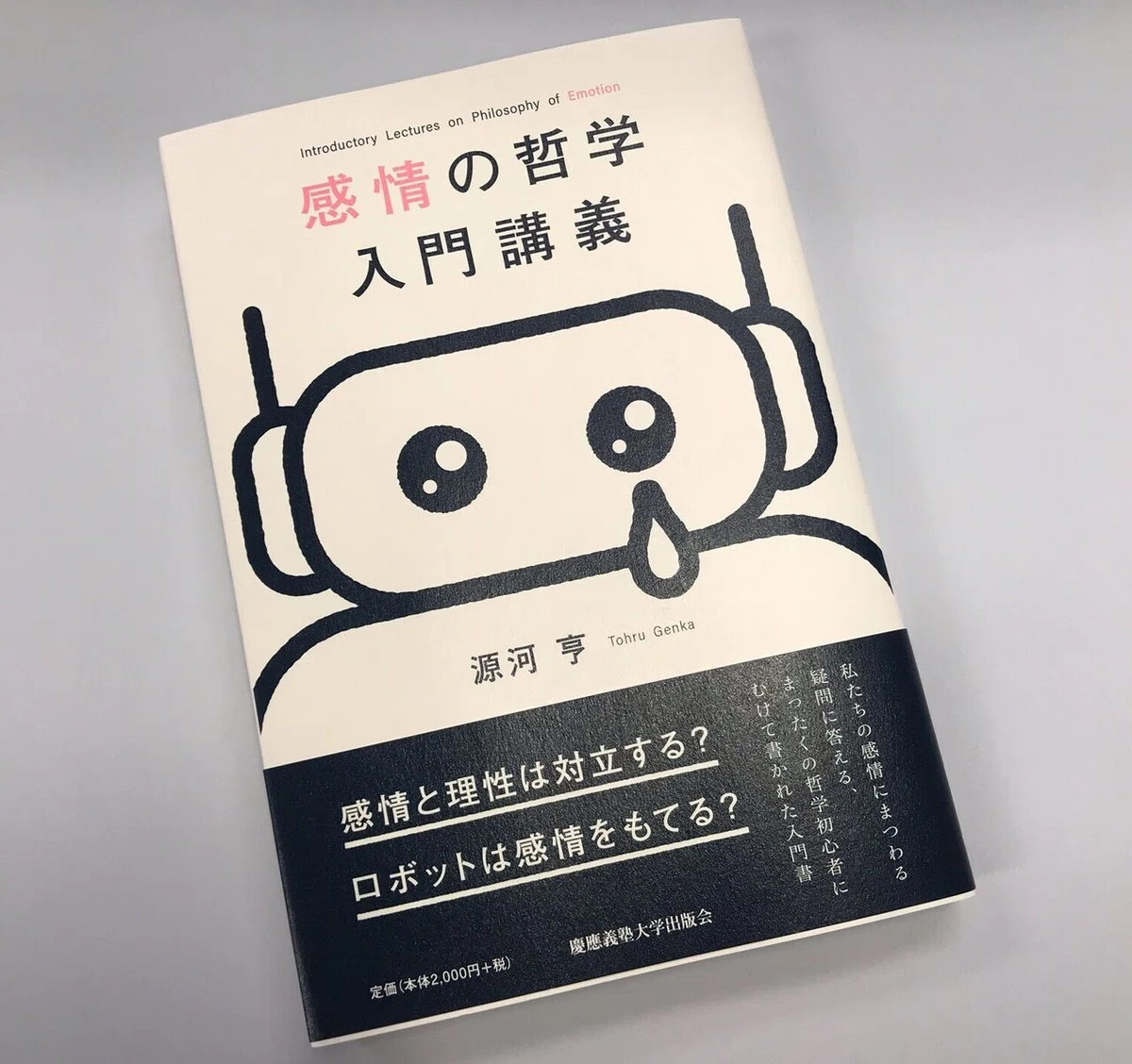 image1感情の哲学入門講義画像