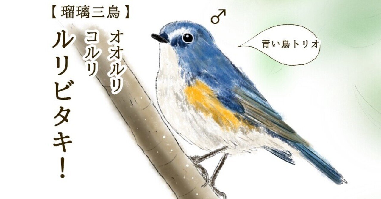 大人の魅力 青い羽根 Uran Orico Note