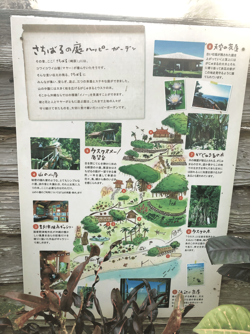 沖縄にやってきた Shanthi Usui Note