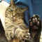 猫好きのやきとり屋