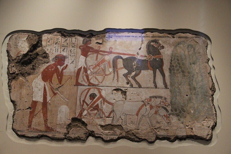 009 ”型”にはめるか、はめないか｜ネバムンの墓の壁画｜よしてる