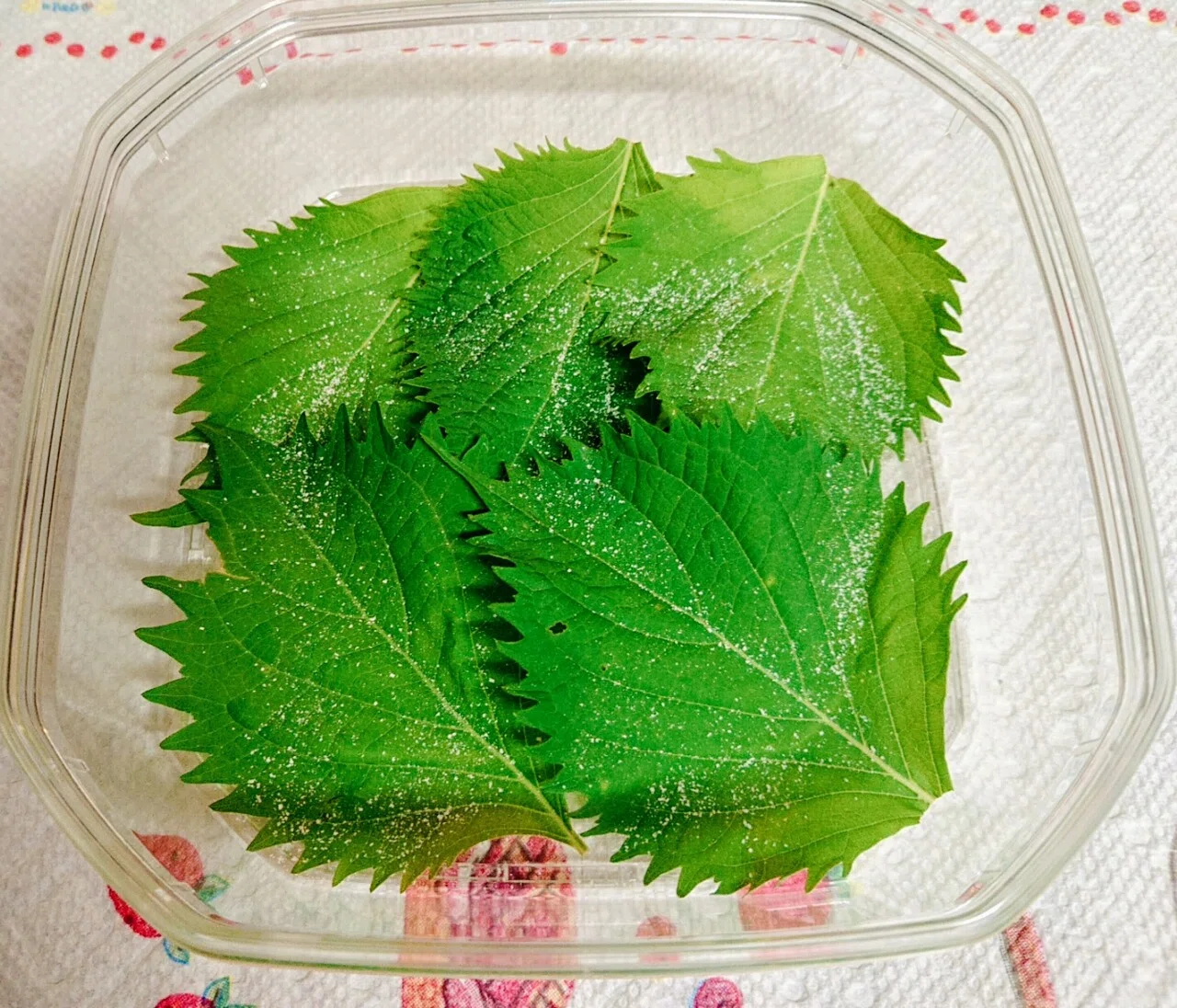 画像3