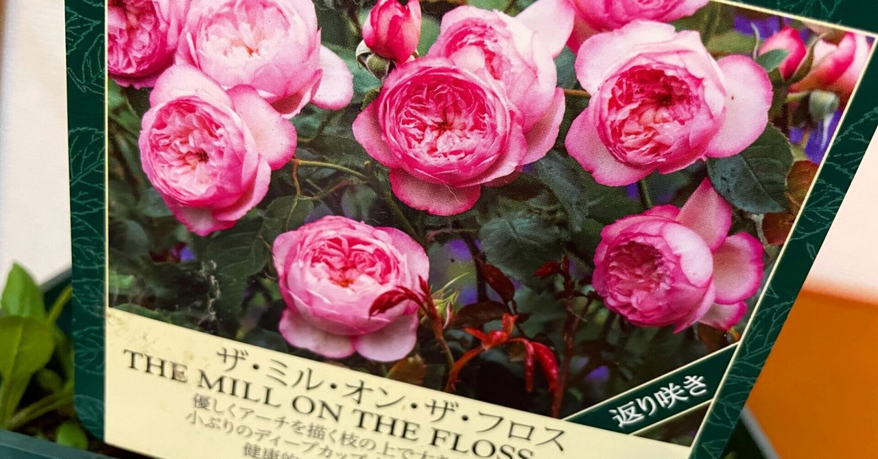 おやすみなさい Midi Note おやすみなさい Midi Note