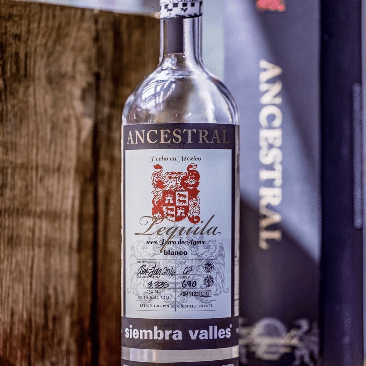 カスカウィン・アニベルサリオ｜テキーラ道場の中の人