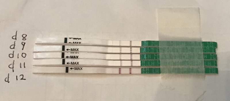 排卵検査薬が陽性になったら 39歳自然妊娠を目指す妊活ブログ Anne Note