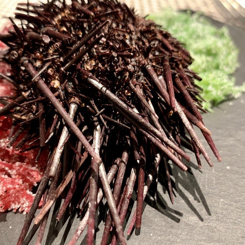 白金シェトモ ナチュラル キュイジーヌ 風茂吹也 かぜもふくなり Note