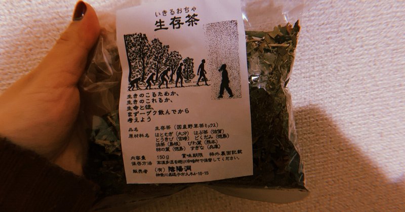 犬帰宅 Koyotaroshi Note