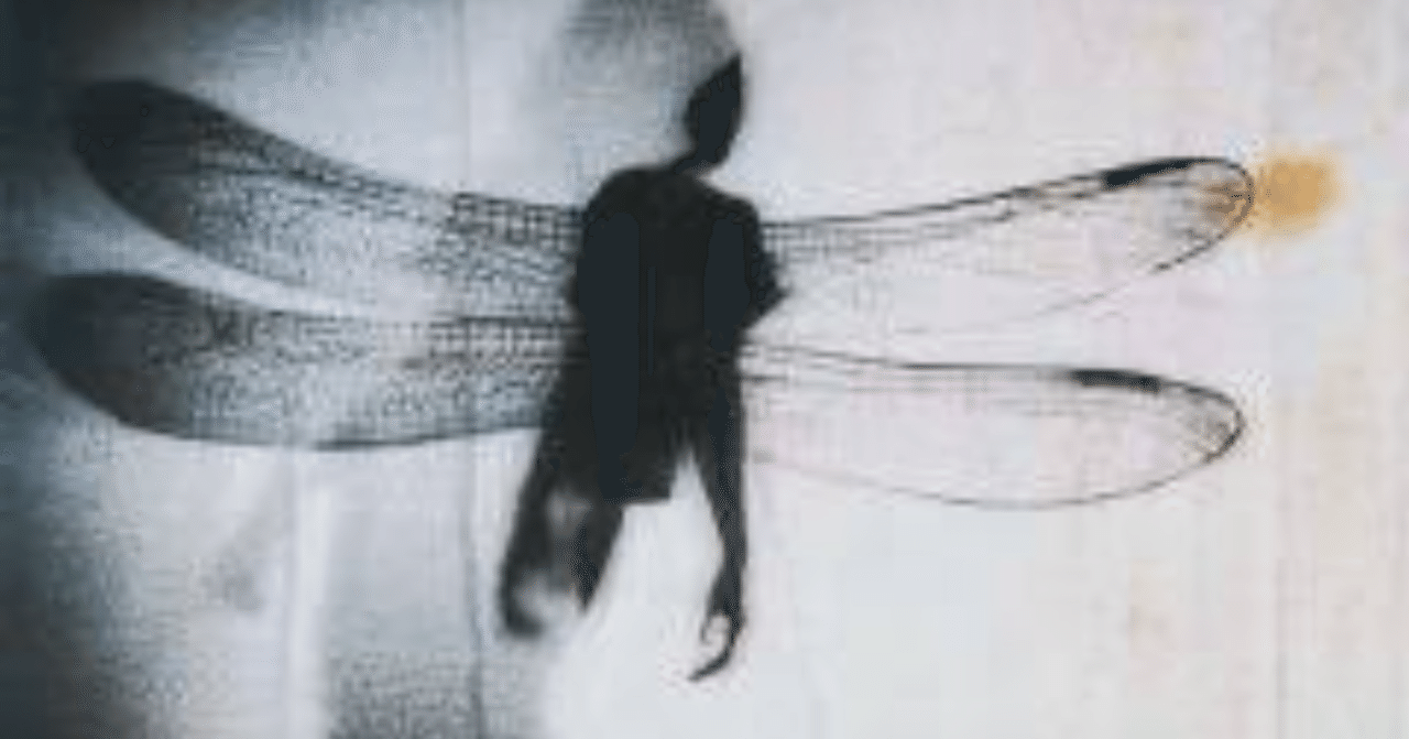 私は蛹化の女 フレジェ Note