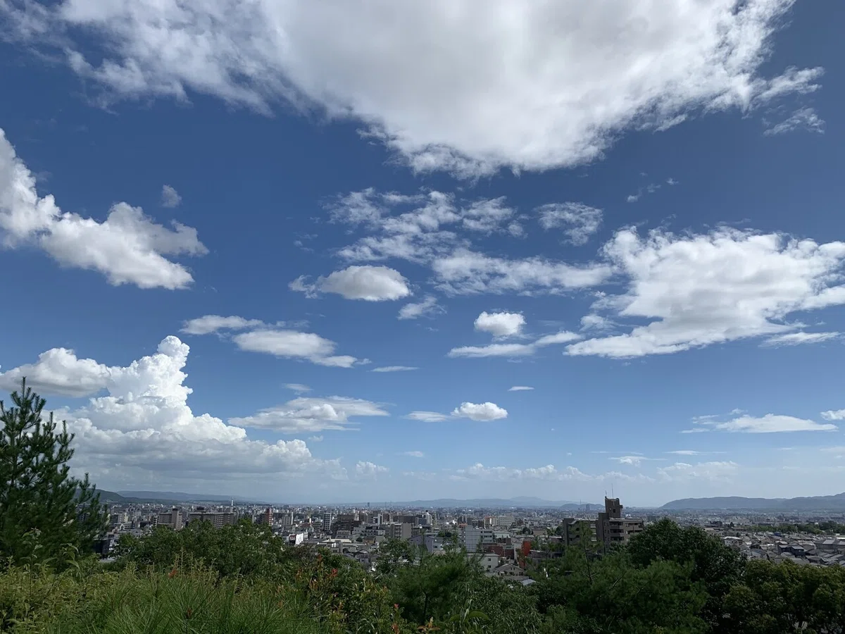 画像1