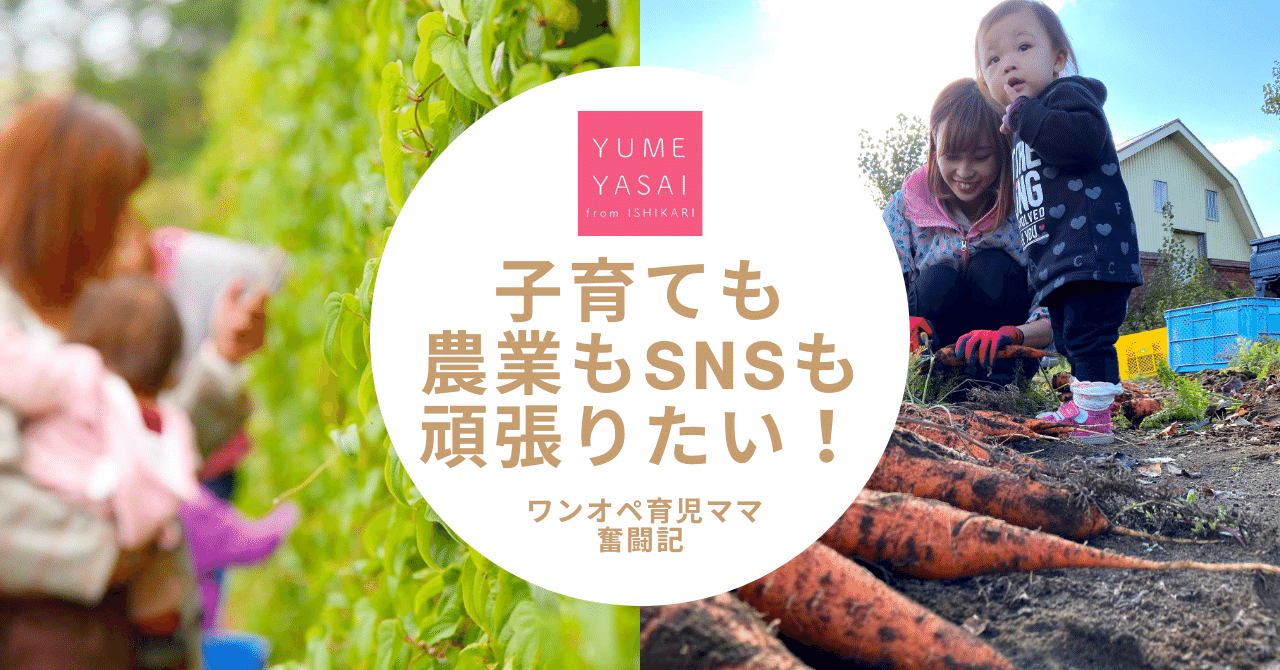 子育ても農業もsnsも頑張ってみるワンオペ育児ママの奮闘記 農業女子ゆめちゃん Note 子育ても農業もsnsも頑張ってみるワンオペ育児ママの奮闘記 農業女子ゆめちゃん Note