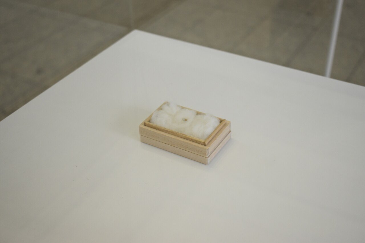 ショーケースギャラリー 安部寿紗展 かずさ Kazusa Note