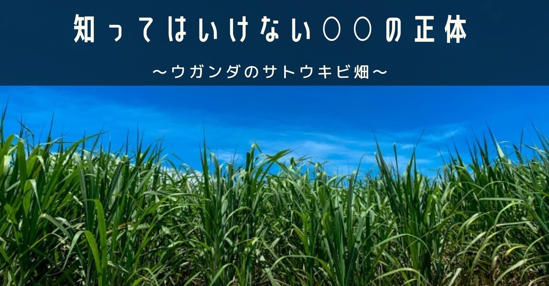 知ってはいけない の正体 農情人 Note