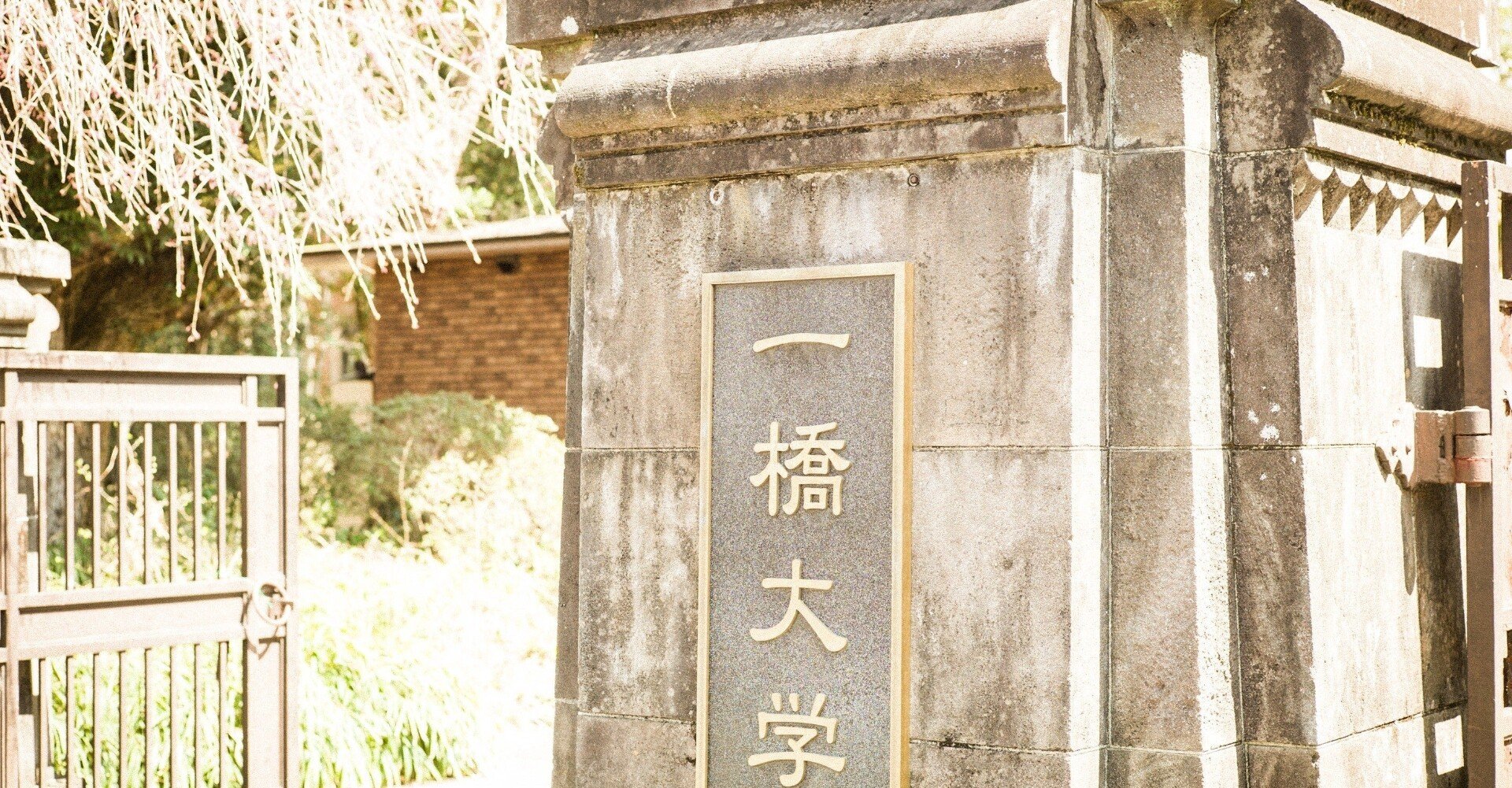 一橋大学大学院mbaに合格しました ゆー Note