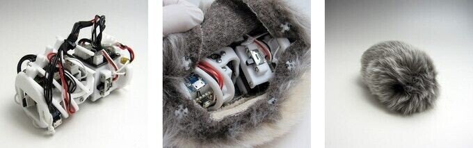 Mofulin Aiペットが今年できるようです インターステラ株式会社 Note