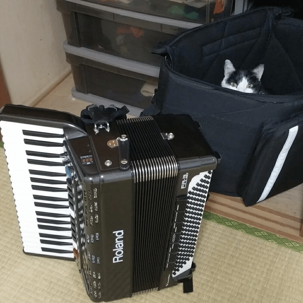 フリーべースとは何か？｜アコーディオン横丁