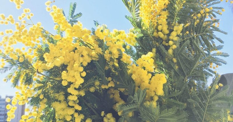 花粉症 Filsou Note 花粉症 Filsou Note