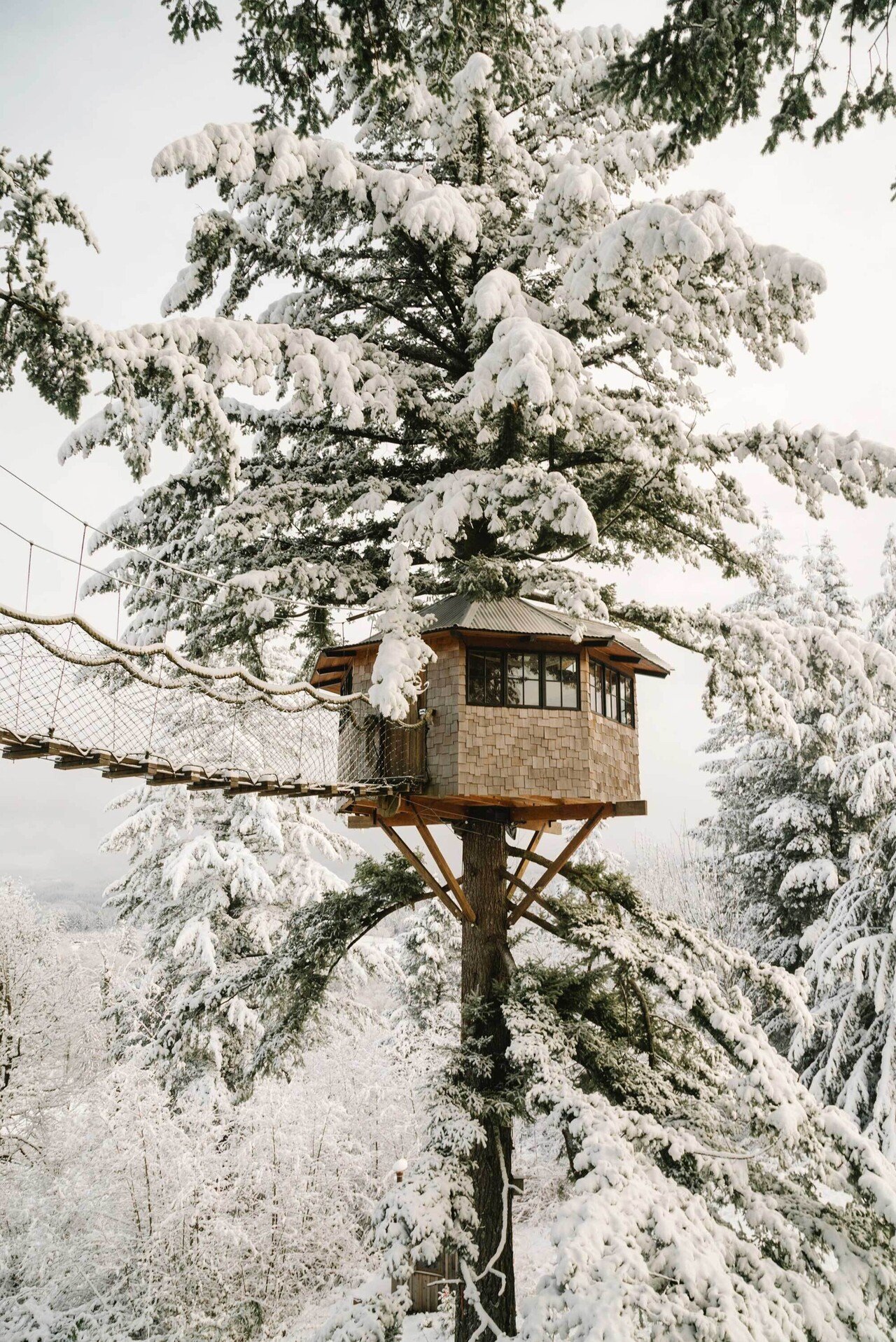 FOSTER HUNTINGTON フォスター・ハンティントン THE CINDER CONE