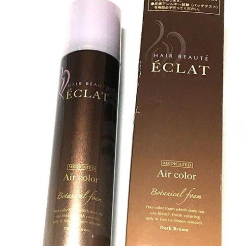 白髪染め 泡タイプならボタニカルエアーカラーフォームがおすすめ 医薬部外品 Painbijins Note