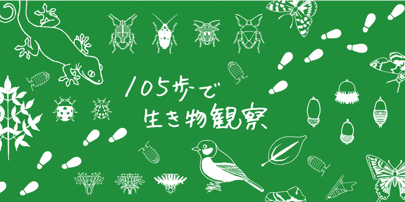 105歩で生き物観察ヘッダー