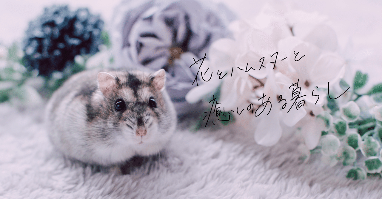 花とハムスターと癒しのある暮らし Aco Note