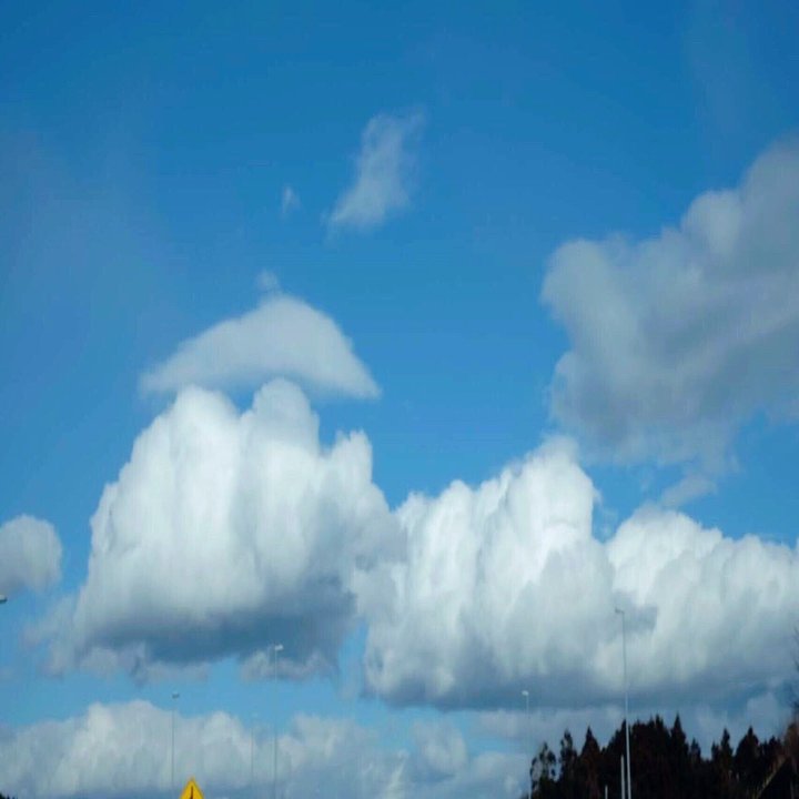 1 4 ロケの手ごたえゼロだった 水曜どうでしょう の新作は なぜ おもしろかったのか 光文社新書