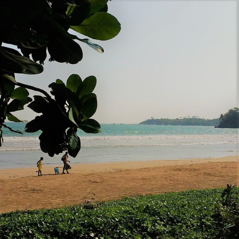 スリランカ　ビーチ