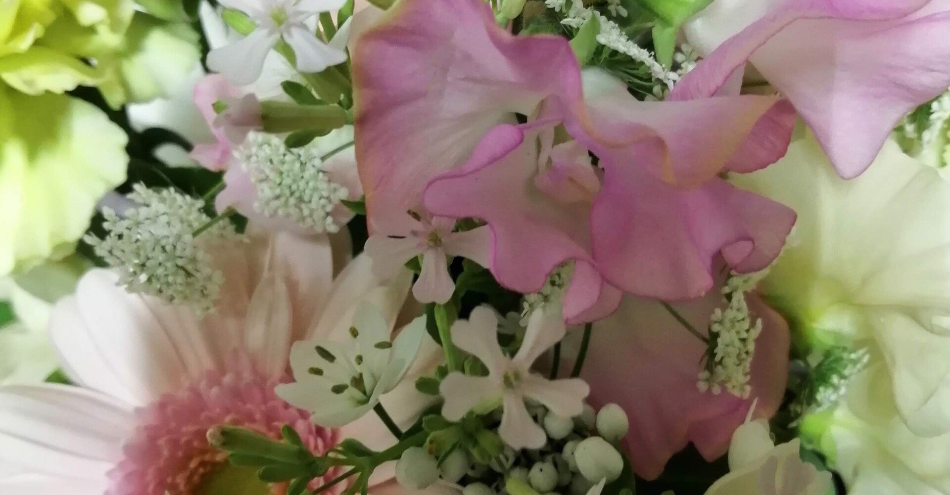 奥さんと娘たちに花束を 花屋さんのデリバリー超便利 Amパパ 父親業 兼業公務員 Note 奥さんと娘たちに花束を 花屋さんのデリバリー超便利 Amパパ 父親業 兼業公務員 Note