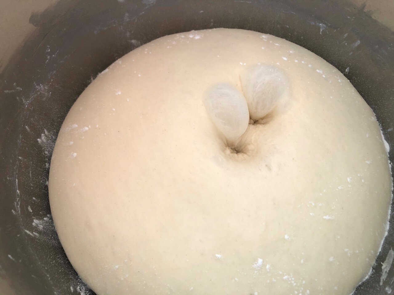 食パンを美味しく作る秘密 1次発酵の見極め方 ゆのきりょうこ Note
