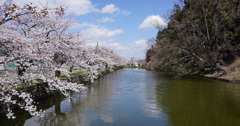 1月27日　肉塊への期待と俊頼の桜