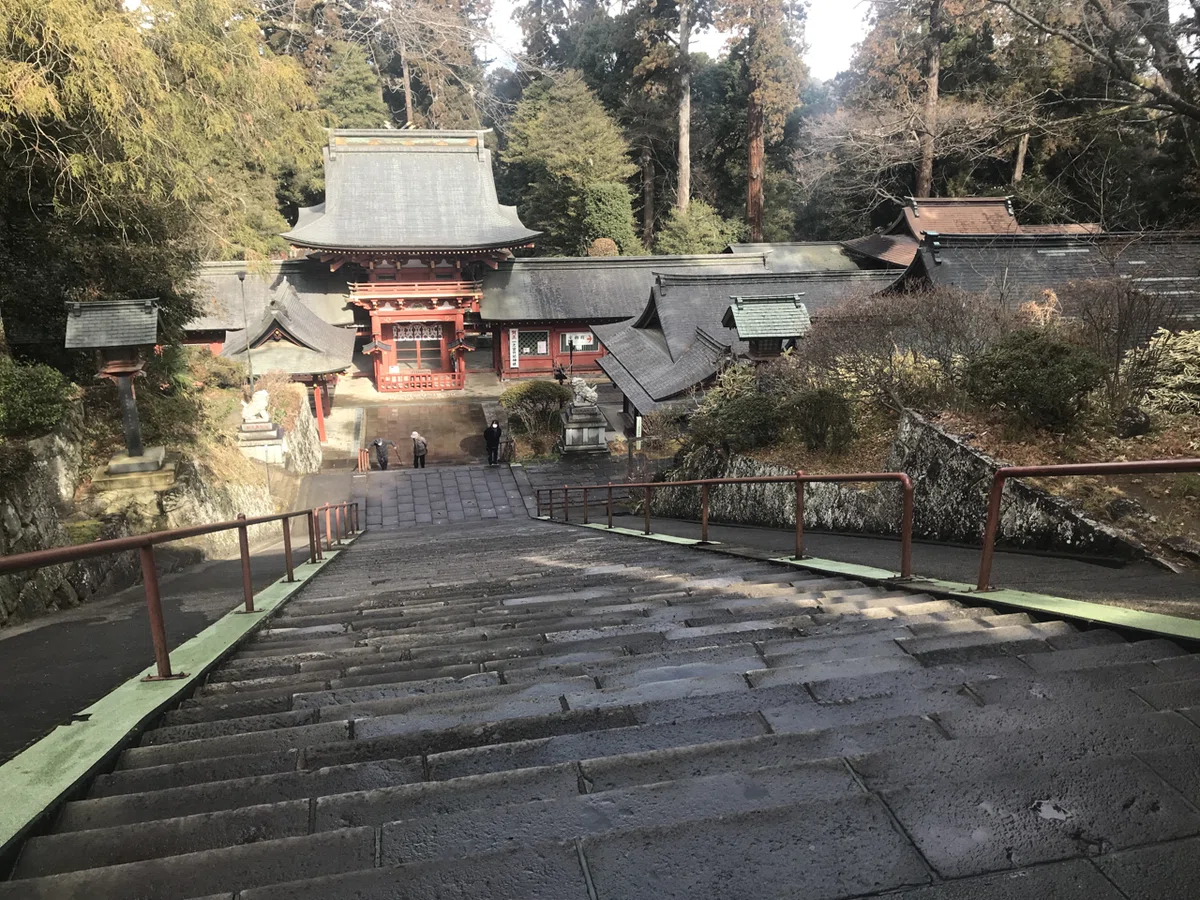 画像5
